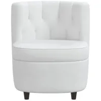 Zaire Chair in Velvet White by Skyline