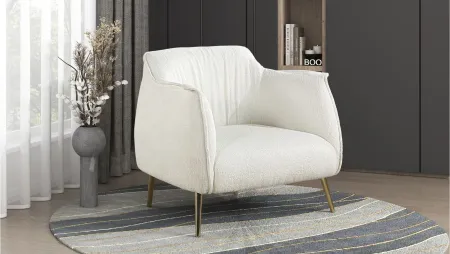 Mara Accent Chair in White by Homelegance