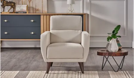 Lugano Chair with Storage in Beige by HUDSON GLOBAL MARKETING USA