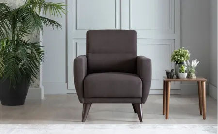 Lugano Chair with Storage in Dark Gray by HUDSON GLOBAL MARKETING USA