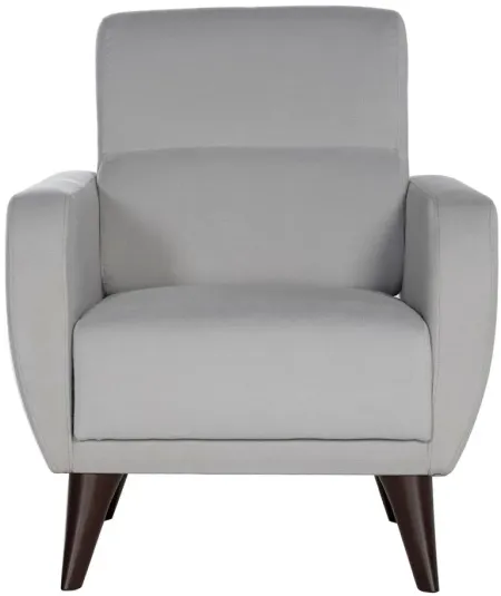 Lugano Chair with Storage in Light Gray by HUDSON GLOBAL MARKETING USA