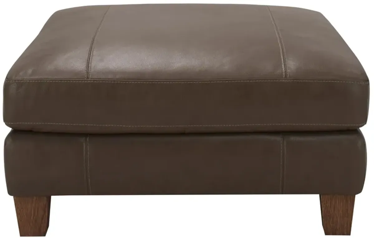 Maxwell Cocktail Ottoman in Brown by Bellanest