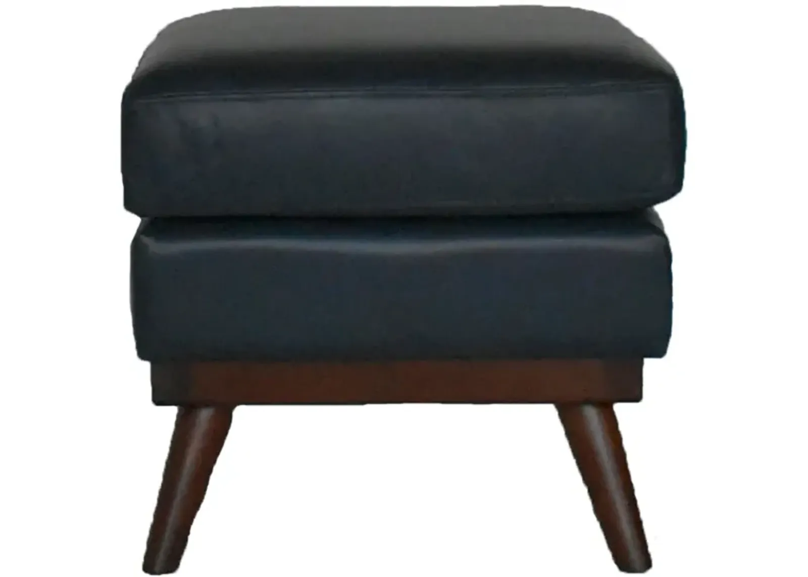 Alayna Ottoman in Navy Blue by Lea Unlimited