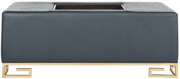 Vanessa Tray Ottoman