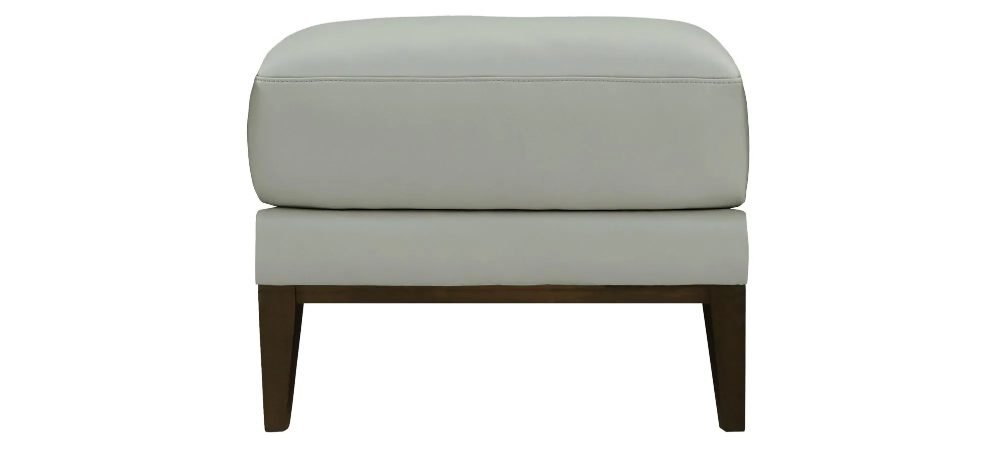 Rio Ottoman in Gray;Off-White by GTR Leather Inc