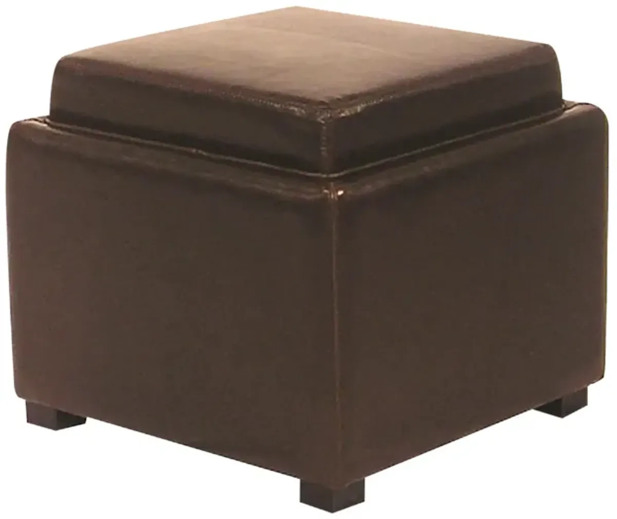 Cameron Storage Ottoman in Brown by New Pacific Direct