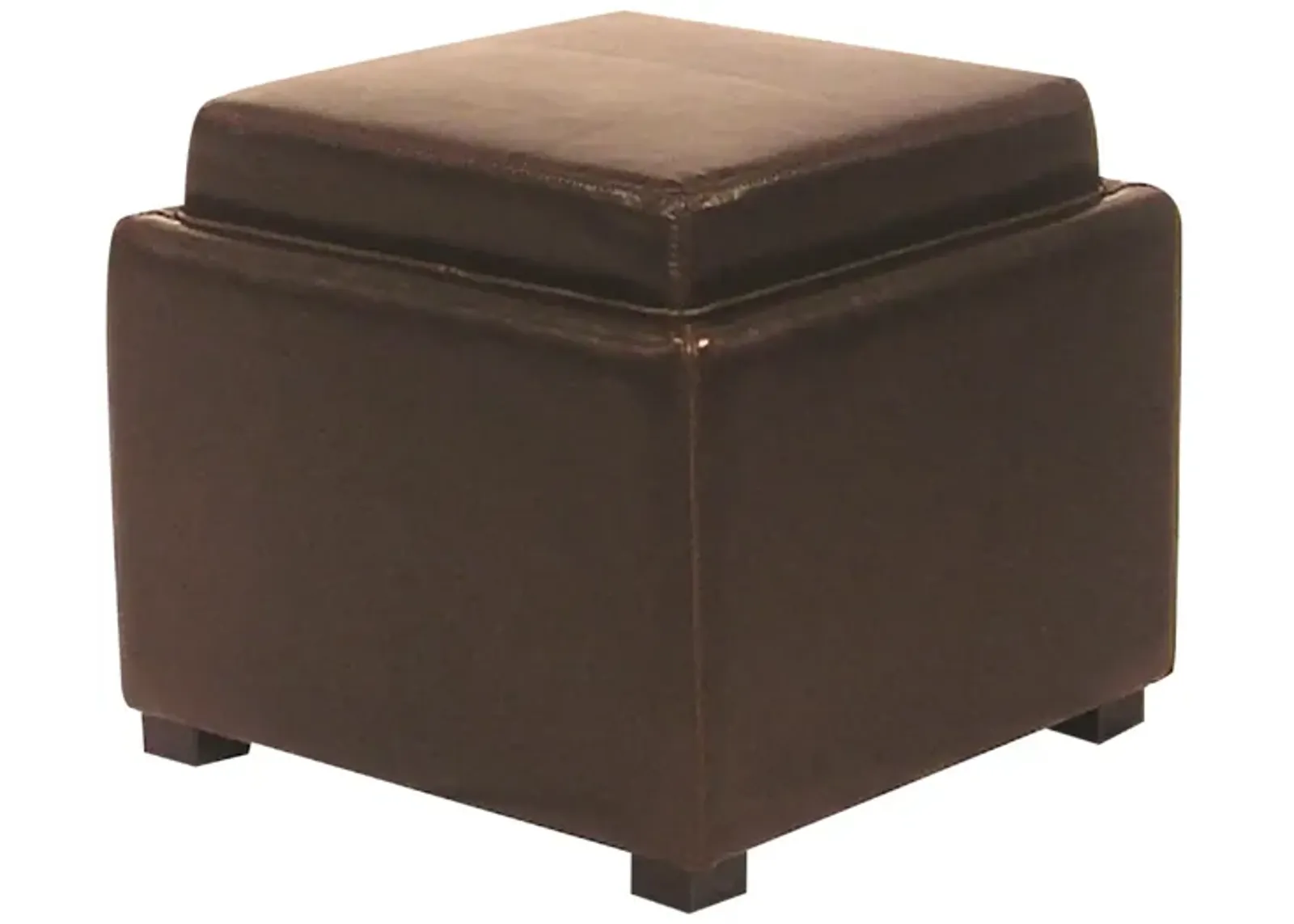 Cameron Storage Ottoman in Brown by New Pacific Direct