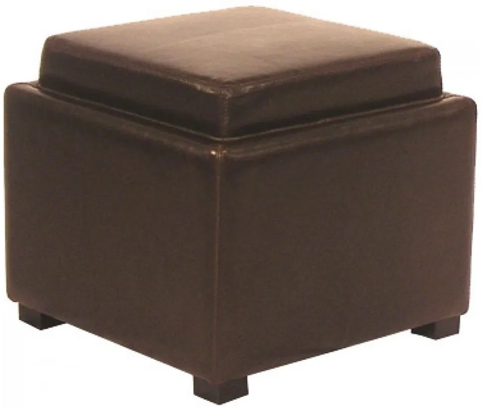 Cameron Storage Ottoman in Brown by New Pacific Direct