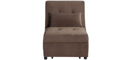 Fraser Chair with Pullout Bed in Brown by Bellanest