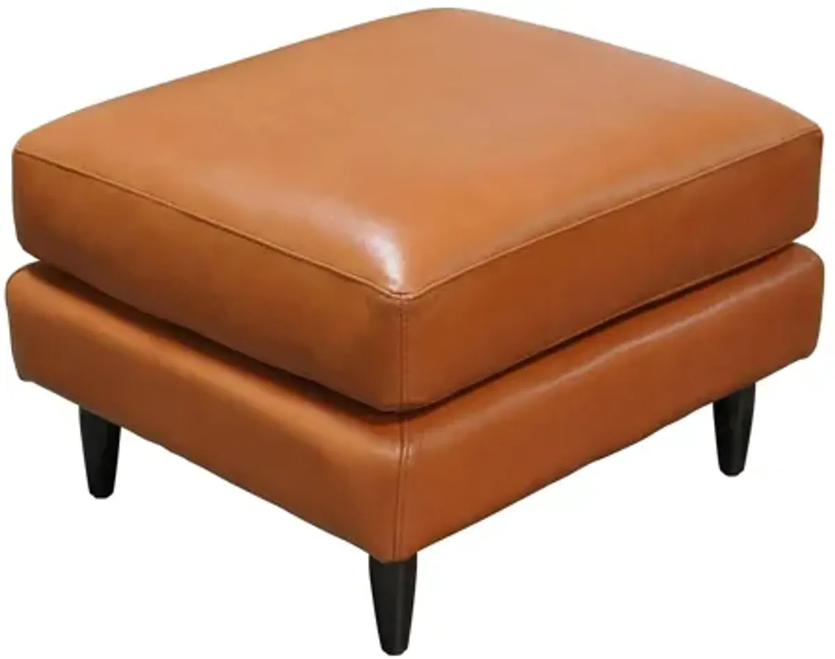 Zander Ottoman