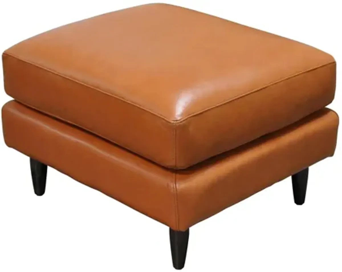 Zander Ottoman