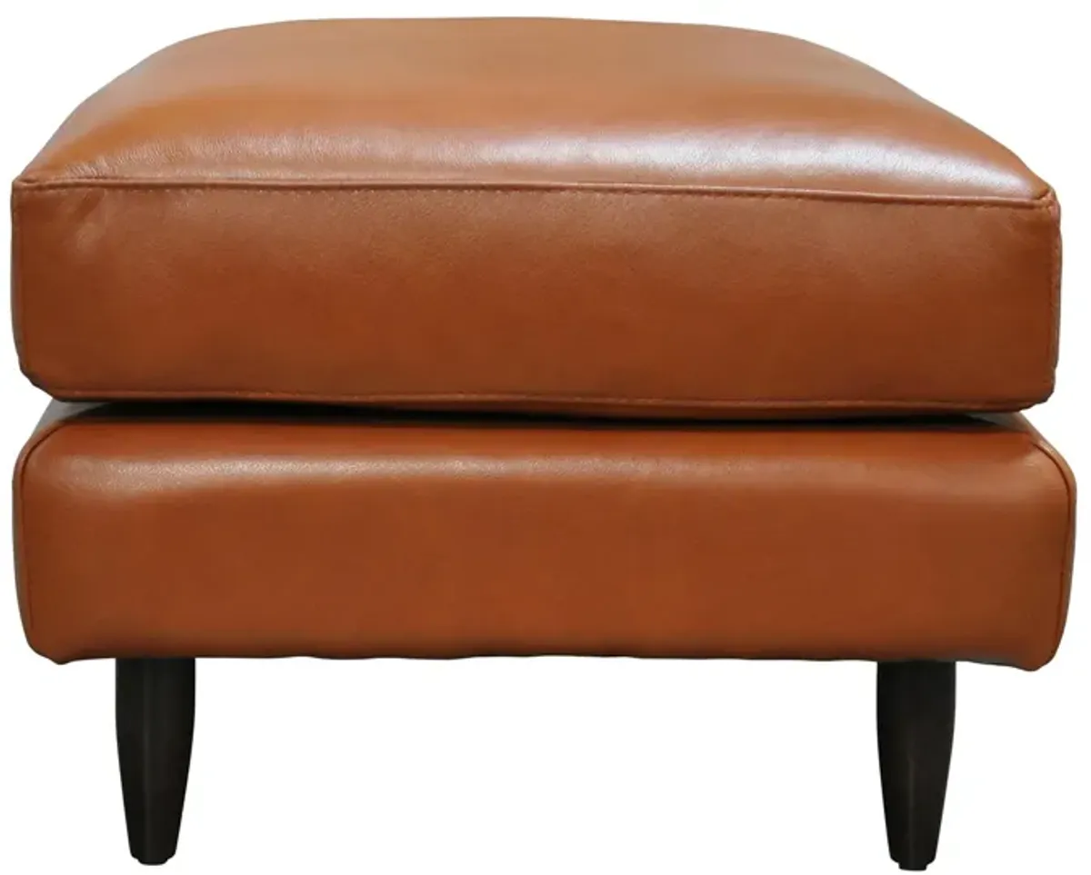 Zander Ottoman