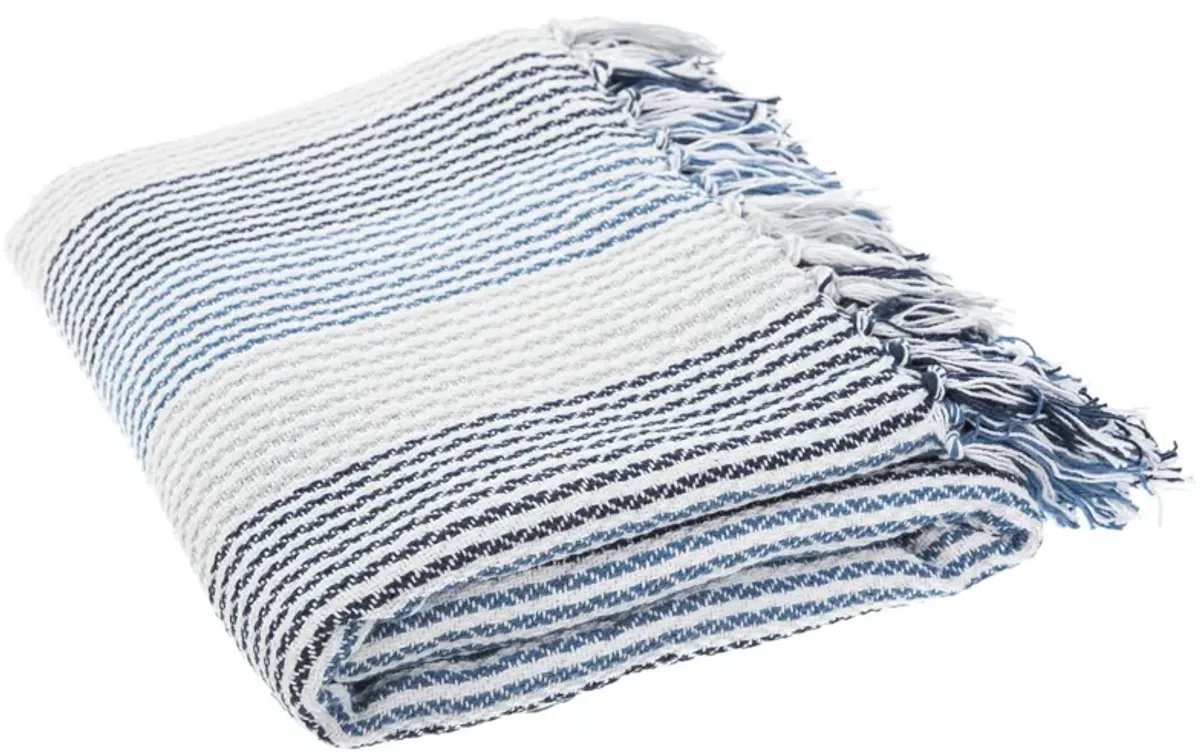 Brenton Throw in Blue / White by Safavieh