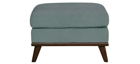 Milo Ottoman in Suede-So-Soft Hydra by H.M. Richards