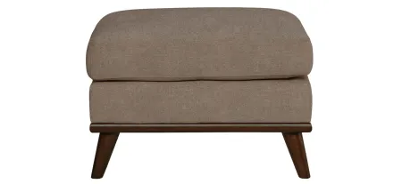 Milo Ottoman in Suede-So-Soft Mineral by H.M. Richards