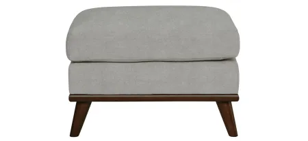 Milo Ottoman in Suede-So-Soft Platinum by H.M. Richards