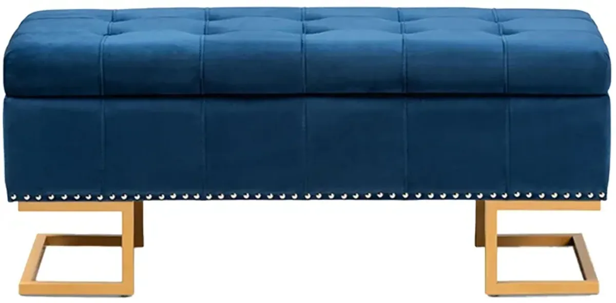 Ellery Storage Ottoman in Navy Blue/Gold by Wholesale Interiors