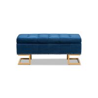 Ellery Storage Ottoman in Navy Blue/Gold by Wholesale Interiors