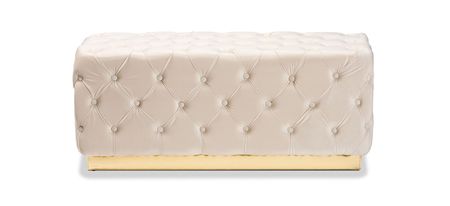 Corrine Ottoman in Beige/gold by Wholesale Interiors