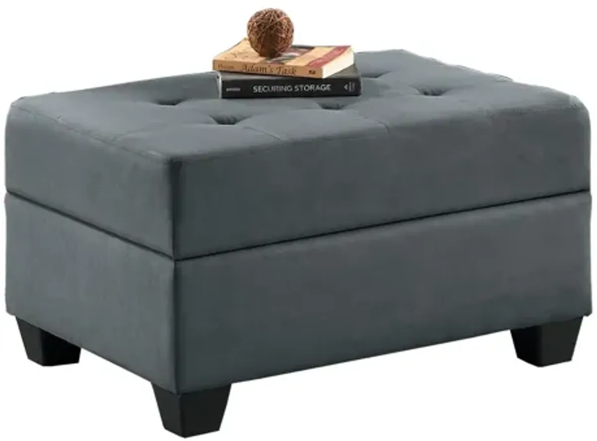 Hedera Storage Ottoman