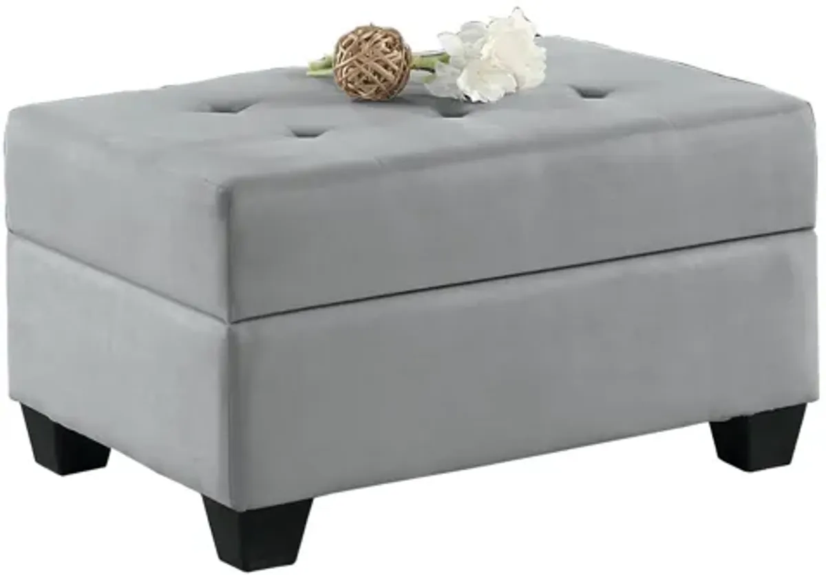 Hedera Storage Ottoman