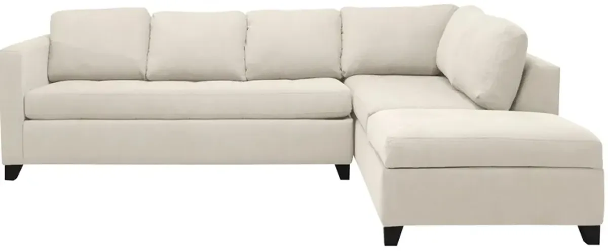 Dexter 2-pc. Sofa Chaise w/Queen Sleeper