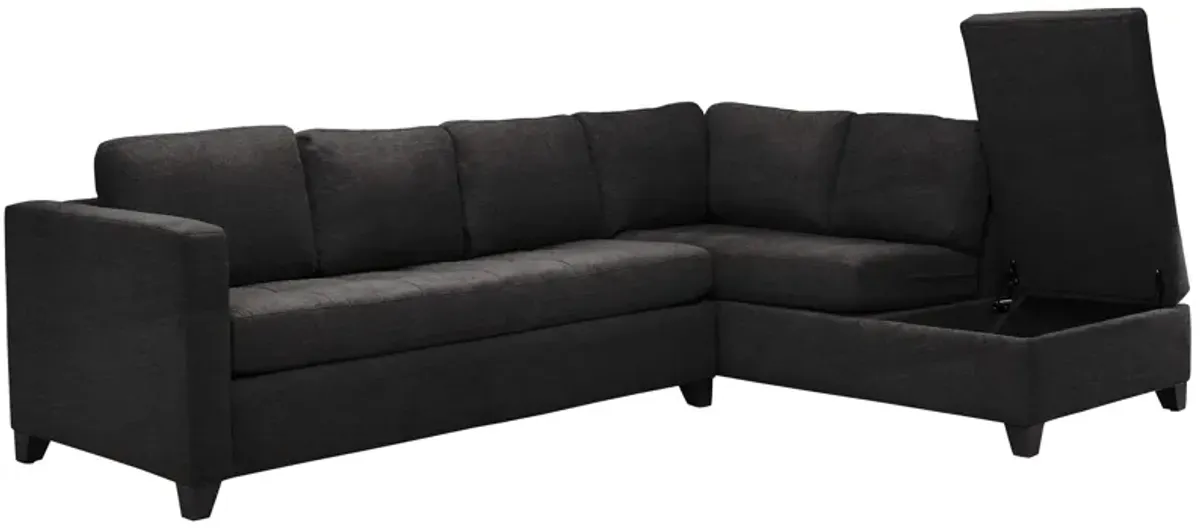 Dexter 2-pc. Sofa Chaise w/Queen Sleeper