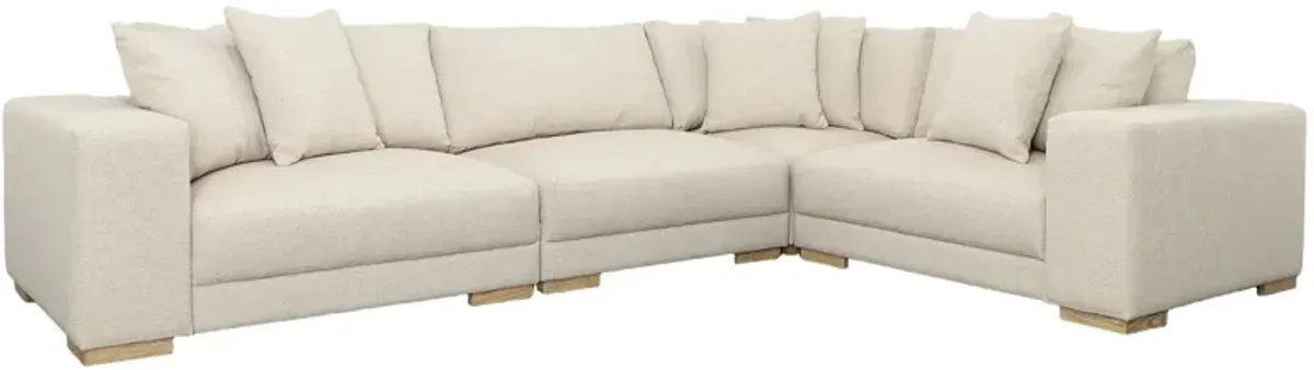 Carlow Modular Sectional