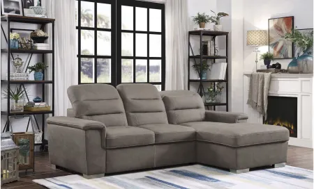 Brooks 2-pc Set Sectional Sofa w/Pull-Out Bed & Storage in Taupe by Homelegance