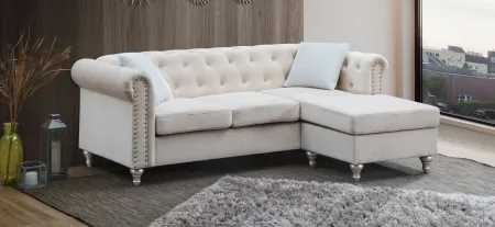 Raisa Sectional in Beige by Glory Furniture