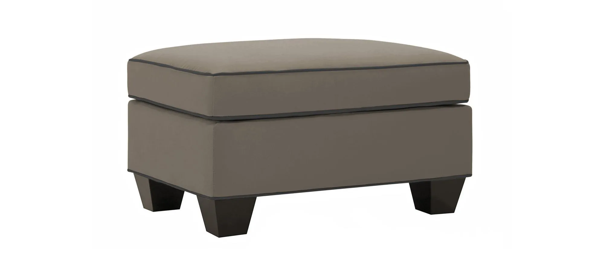Briarwood Microfiber Ottoman in Suede So Soft Mineral/Slate by H.M. Richards