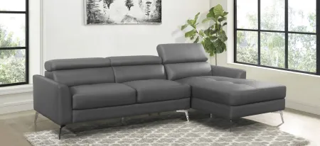Weiser 2-Pc Set Sectional Sofa in Dark Gray by Homelegance