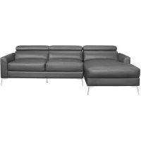 Weiser 2-pc Set Sectional Sofa in Dark Gray by Homelegance