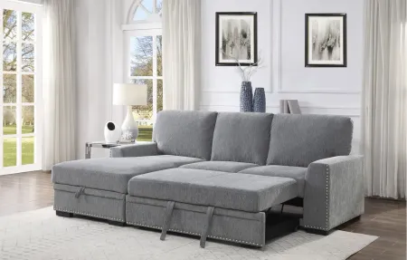 Adelia 2-pc. Left Facing Sectional with Pull-Out Bed in Gray by Homelegance