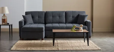 Mocca 3pc. Sectional in Anthracite by HUDSON GLOBAL MARKETING USA