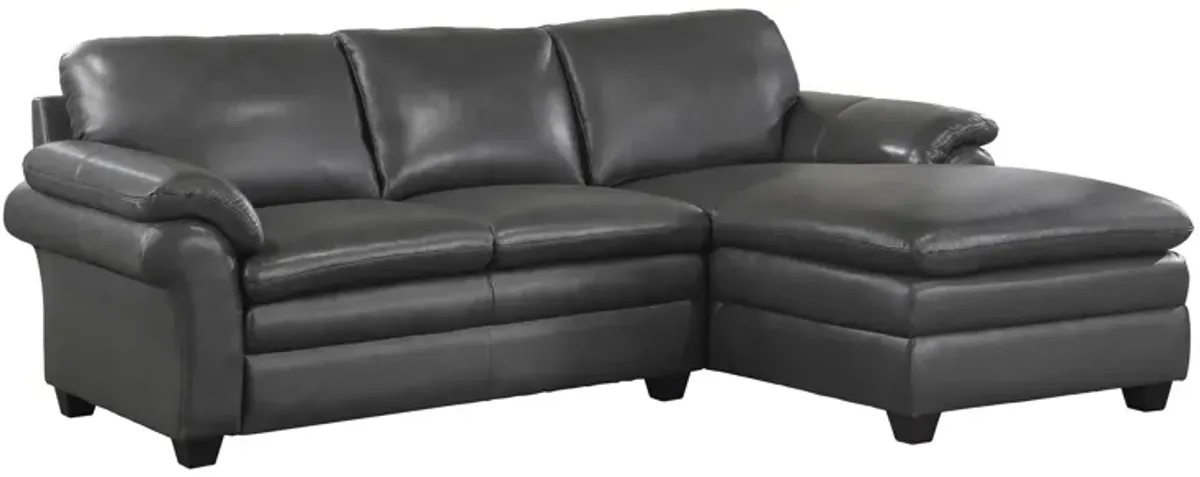 Sarasota 2-pc. Sectional