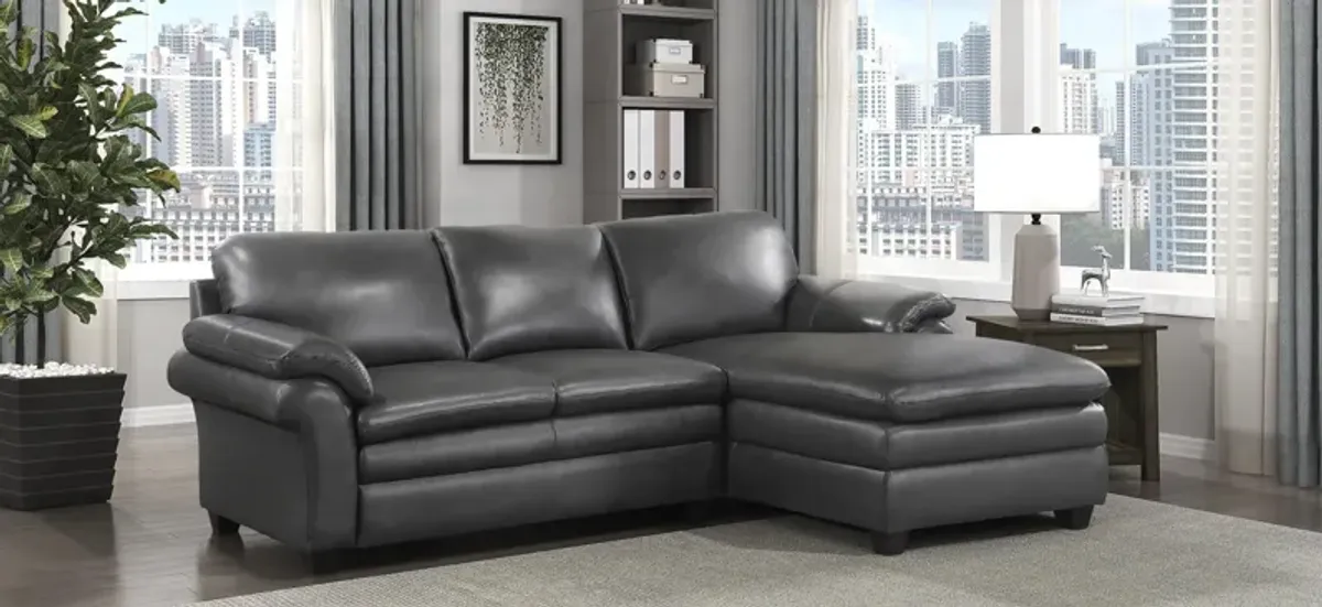 Sarasota 2-pc. Sectional