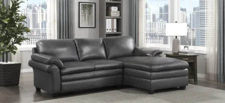 Sarasota 2-pc Sectional in Gray by Homelegance