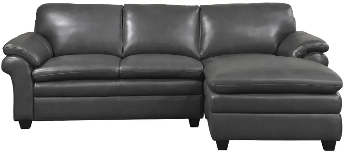 Sarasota 2-pc. Sectional
