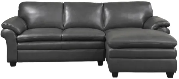 Sarasota 2-pc. Sectional