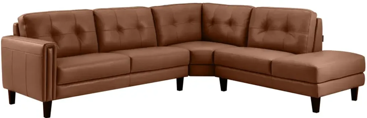 Salerno 3-pc. Sectional