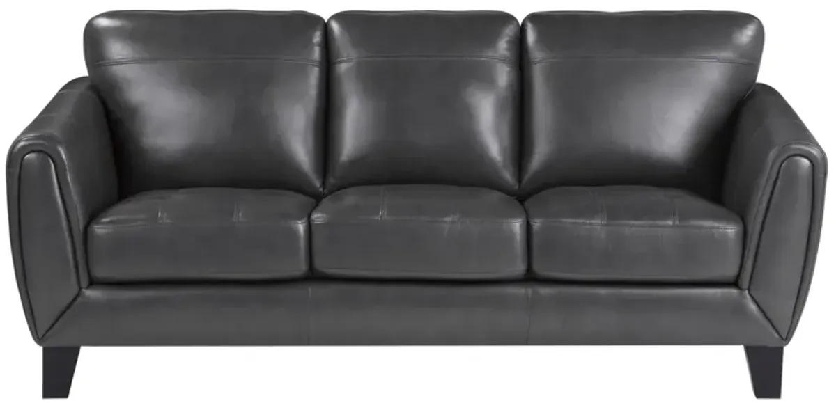 Cadence Sofa in Dark Gray by Homelegance