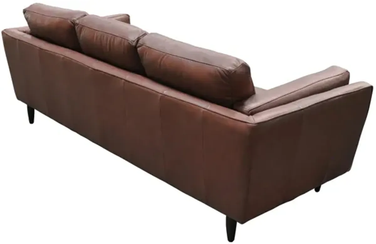 Zander Sofa