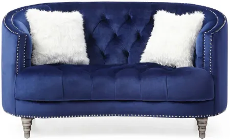 Dania Loveseat in Navy Blue by Glory Furniture