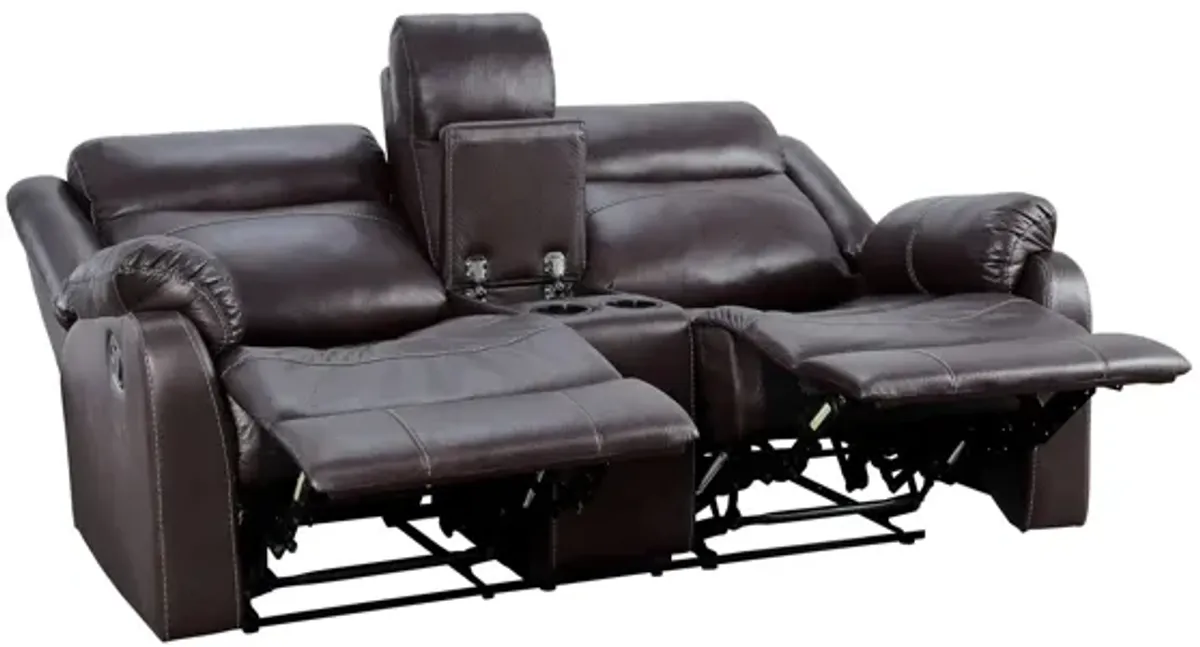 Darlene Reclining Loveseat