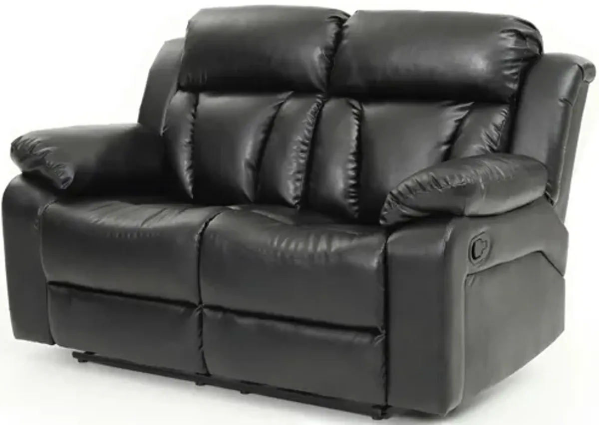 Daria Reclining Loveseat