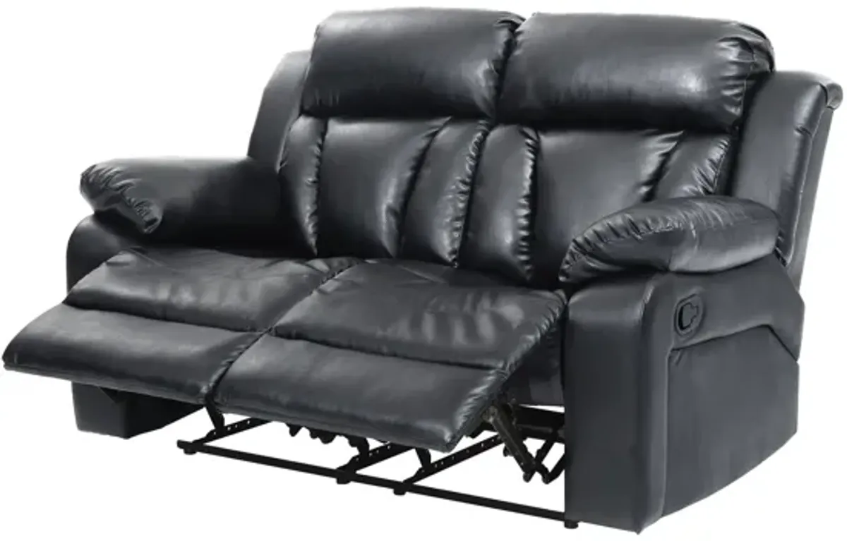 Daria Reclining Loveseat