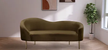 Ritz Velvet Loveseat in Brown by Meridian Furniture