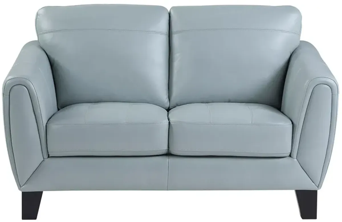 Cadence Loveseat in Aqua by Homelegance