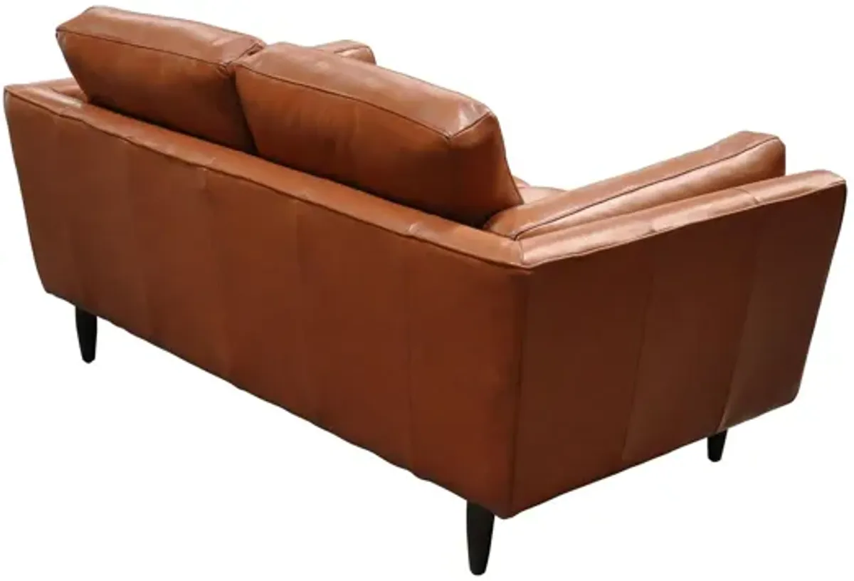 Zander Loveseat